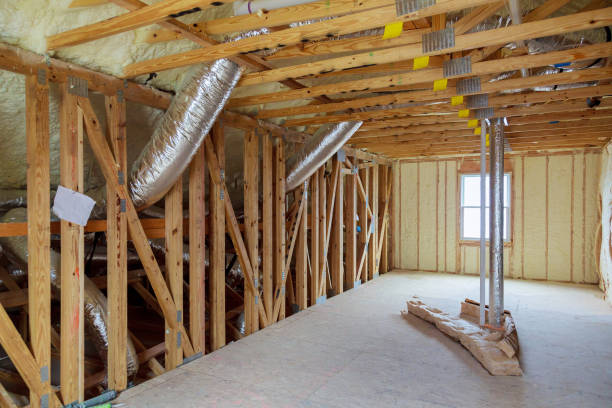 Best Types of Insulation in Manche Village, CA