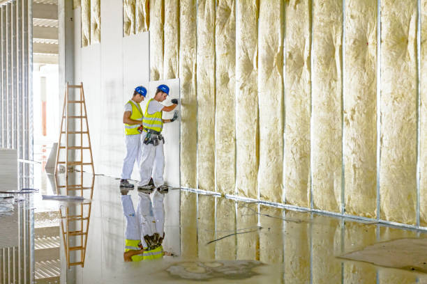Best Insulation Maintenance and Repair in Manche Village, CA